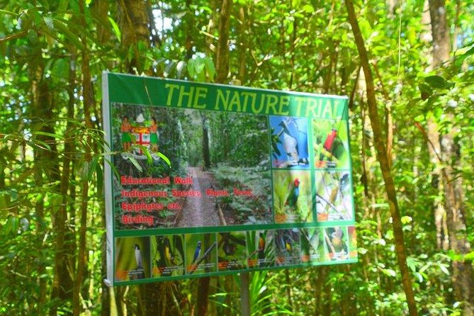 Waterfalls and Nature Tour - Waisila Falls and the rainforest walk