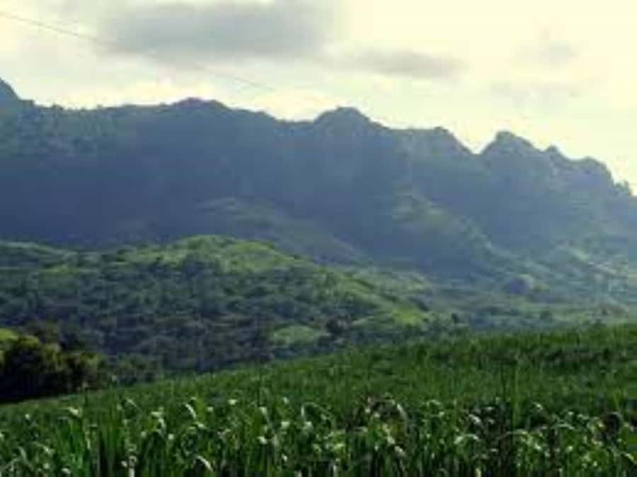 Zipline, Cave, Seaview & Mud Spa Tour with Lunch Included - Sabeto Mud Pool and Hot Spring